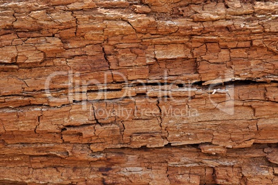 Texture of cracked rotten wood