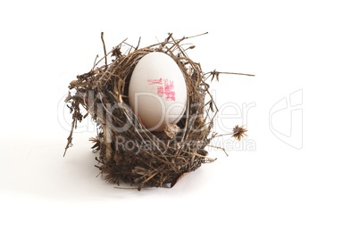 Small bird nest with XL egg isolated on white background