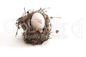 Small bird nest with XL egg isolated on white background