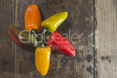 Multicolored peppers