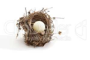 Small bird nest with ping-pong ball instead of egg isolated