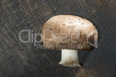 Mushrooms on wooden table