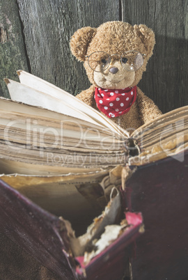 Children teddy bear with book