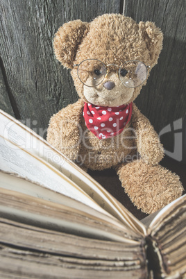 Children teddy bear with book