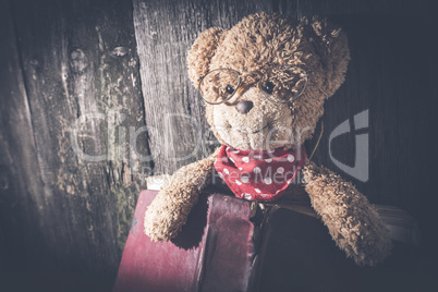 Children teddy bear with book