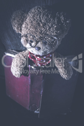 Children teddy bear with book