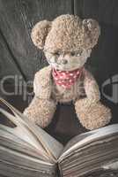 Children teddy bear with book