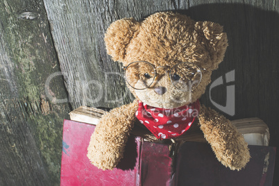 Children teddy bear with book