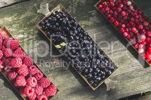 Red and black raspberry and blueberry