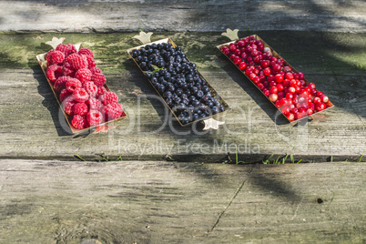 Red and black raspberry and blueberry