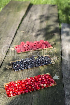 Red and black raspberry and blueberry