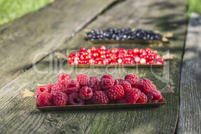 Red and black raspberry and blueberry