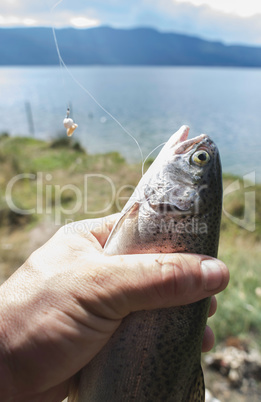 Fisherman caught a fish