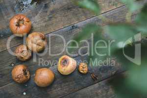 Rotten apples on wood