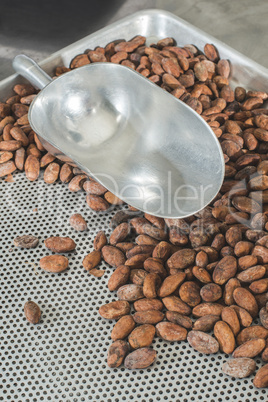 Cocoa beans