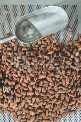 Cocoa beans