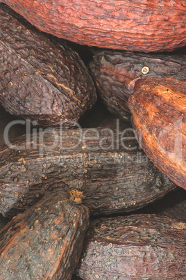 Cocoa pods