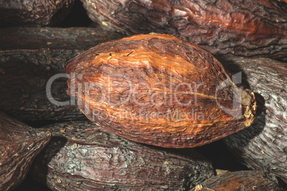 Cocoa pods