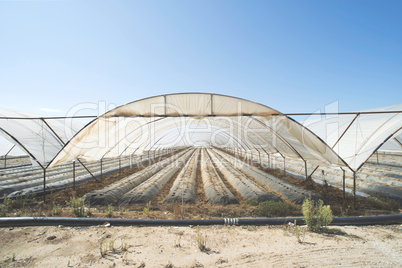 Greenhouse without plants