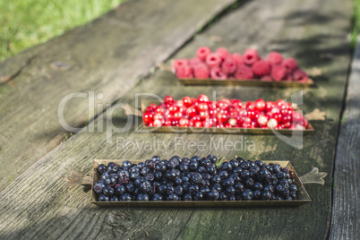 Red and black raspberry and blueberry