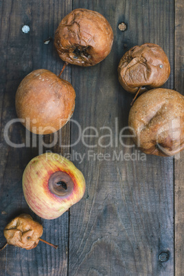 Rotten apples on wood