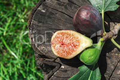 Figs on wood