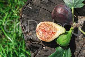 Figs on wood