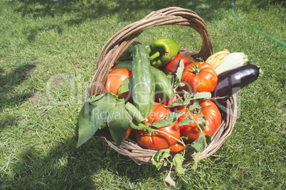 Vegetables in a wooden basket