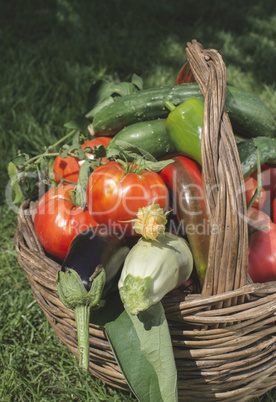 Vegetables in a wooden basket