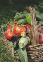 Vegetables in a wooden basket