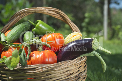 Vegetables in a wooden basket