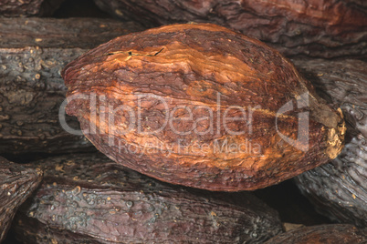 Cocoa pods