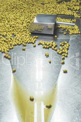 Sorting olives
