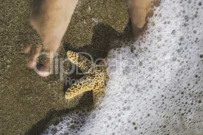 Starfish and feet on the beach