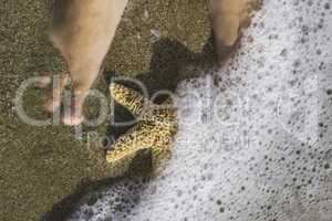 Starfish and feet on the beach