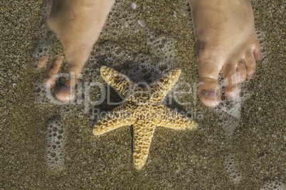 Starfish and feet on the beach