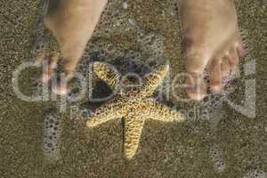 Starfish and feet on the beach