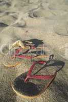 Sandals on the beach in the sand