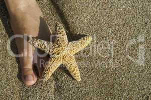 Starfish and feet on the beach