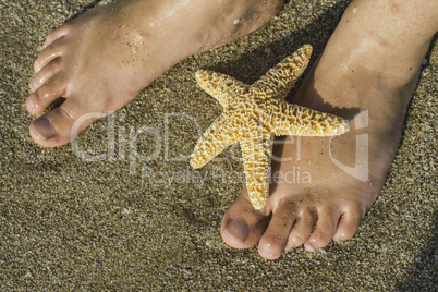 Starfish and feet on the beach