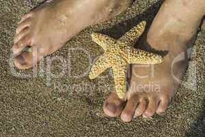 Starfish and feet on the beach