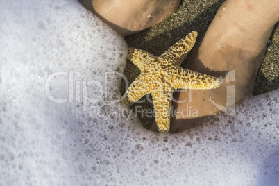 Starfish and feet on the beach