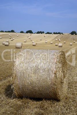 Rundballen auf einem Getreidefeld