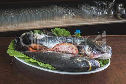 Raw fish in restaurant