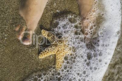 Starfish and feet on the beach