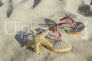 Sandals on the beach in the sand