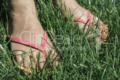 Feet on green meadow.