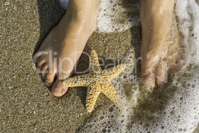 Starfish and feet on the beach