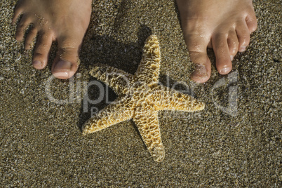 Starfish and feet on the beach