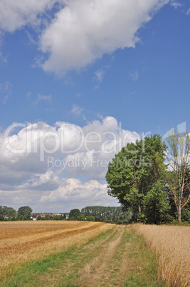 Feldweg bei Dietzenbach